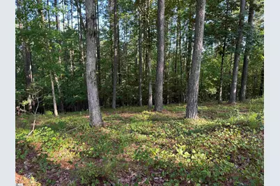 527 Brookgreen Trail, Salem, SC 29676 - Photo 3