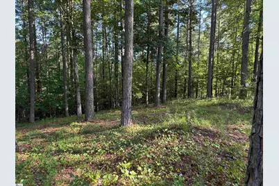 527 Brookgreen Trail, Salem, SC 29676 - Photo 5