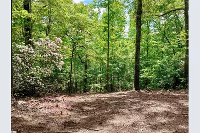 5 Water View Court, Travelers Rest, SC 29690 - Photo 1