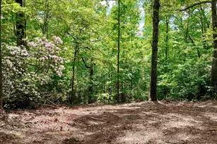 5 Water View Ct, Travelers Rest, SC 29690 - Photo 1