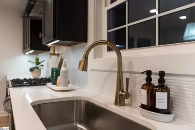 226 Maco Terrace, Greenville, SC 29607 - Photo 41