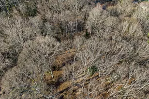 227 Belton Dr, Williamston, SC 29697 - Photo 49