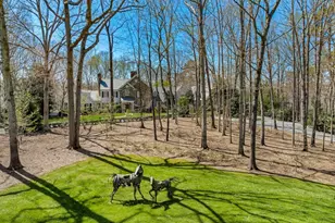 735 Jackson Grove Rd, Landrum, SC 29356 - Photo 47