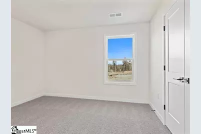 238 Paperbark Drive, Greenville, SC 29607 - Photo 19