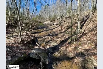 0 Chestnut Ridge Road, Greenville, SC 29609 - Photo 3