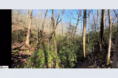 0 Chestnut Ridge Road, Greenville, SC 29609 - Photo 5