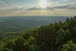 967 Altamont Rd, Greenville, SC 29609 - Photo 3