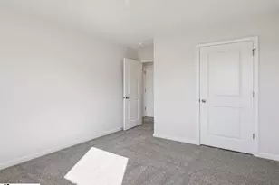 46 Sunriff CT, Greer, SC 29651 - Photo 21