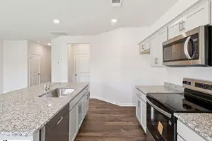 46 Sunriff CT, Greer, SC 29651 - Photo 11