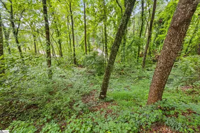 4841 Chestnut Ridge Road, Greenville, SC 29609 - Photo 5