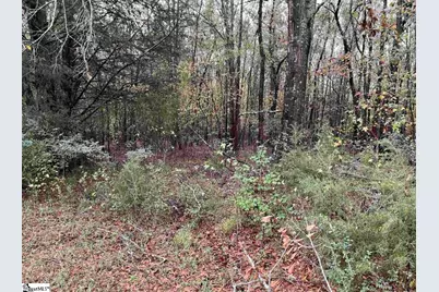 01 Evergreen Church Road, Starr, SC 29684 - Photo 3