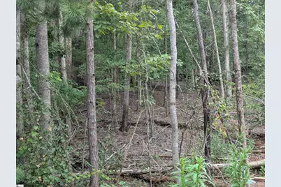 00 E Peninsula Drive #Lot  134, Laurens, SC 29360 - Photo 13