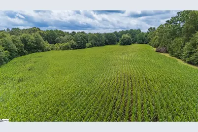 3961 Forrester Road, Greer, SC 29651 - Photo 15