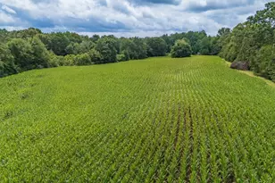 3961 Forrester Rd, Greer, SC 29651 - Photo 15