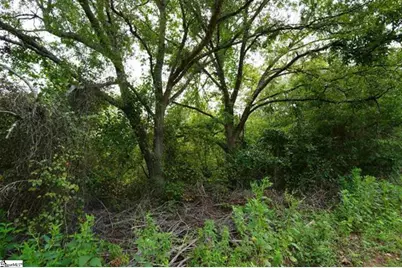 3961 Forrester Road, Greer, SC 29651 - Photo 23