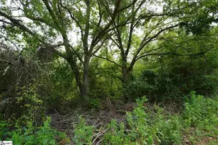 3961 Forrester Rd, Greer, SC 29651 - Photo 23