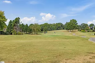 7 15th Vantage, Campobello, SC 29322 - Photo 49