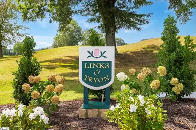 7 15th Vantage, Campobello, SC 29322 - Photo 39