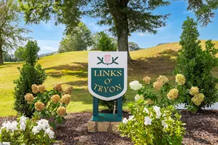 7 15th Vantage, Campobello, SC 29322 - Photo 39