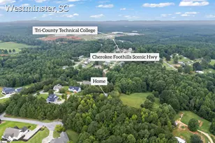 707 Comet View Ct, Westminster, SC 29693 - Photo 43