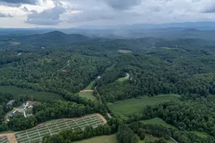 1411 Bailey Mill Rd, Travelers Rest, SC 29690 - Photo 9