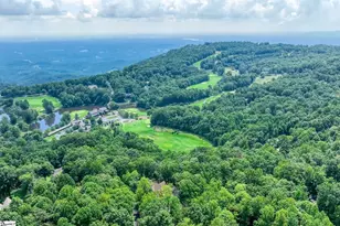 34 Wild Ginger Rd, Landrum, SC 29356 - Photo 47