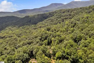 410 Dogwood Trail, Tryon, NC 28782 - Photo 21