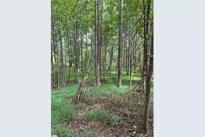 69 Lamb Road, Lyman, SC 29365 - Photo 7