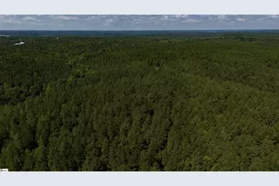 0 S Highway 221, Waterloo, SC 29384 - Photo 11