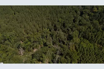 0 S Highway 221, Waterloo, SC 29384 - Photo 7