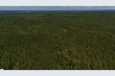 0 S Highway 221, Waterloo, SC 29384 - Photo 5