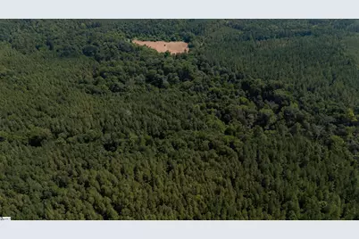 0 S Highway 221, Waterloo, SC 29384 - Photo 3