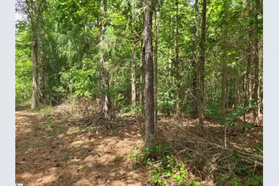 Deer Valley Road, Waterloo, SC 29384 - Photo 3