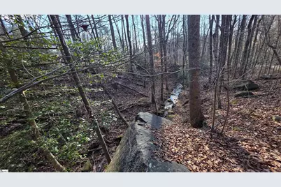 2 Timbers Edge Way, Travelers Rest, SC 29690 - Photo 29