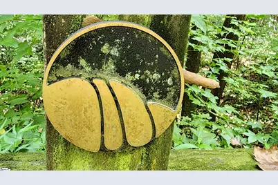 2 Timbers Edge Way, Travelers Rest, SC 29690 - Photo 33