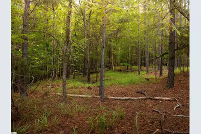 01 Neal Shoals Road, Union, SC 29379 - Photo 7