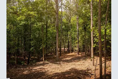 01 Neal Shoals Road, Union, SC 29379 - Photo 37