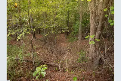 01 Neal Shoals Road, Union, SC 29379 - Photo 33