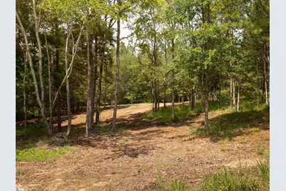 01 Neal Shoals Road, Union, SC 29379 - Photo 35