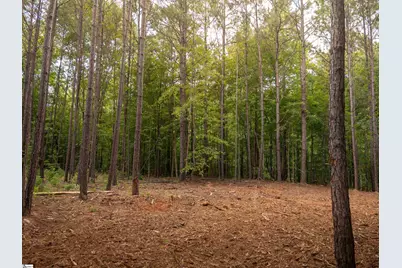 01 Neal Shoals Road, Union, SC 29379 - Photo 39