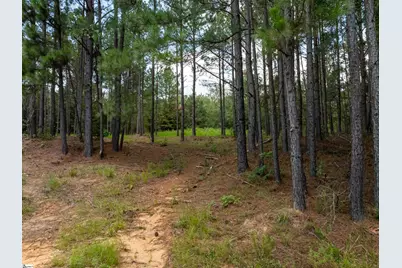 01 Neal Shoals Road, Union, SC 29379 - Photo 3