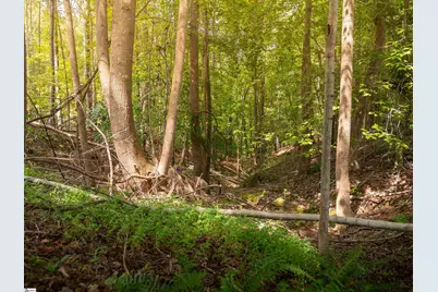 01 Neal Shoals Road, Union, SC 29379 - Photo 41