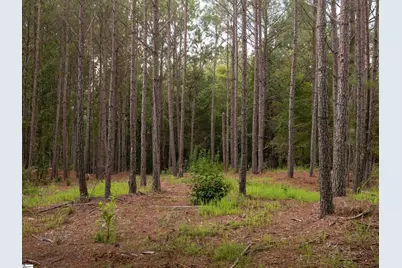 02 Neal Shoals Road, Union, SC 29379 - Photo 9