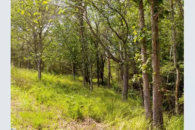 02 Neal Shoals Road, Union, SC 29379 - Photo 7