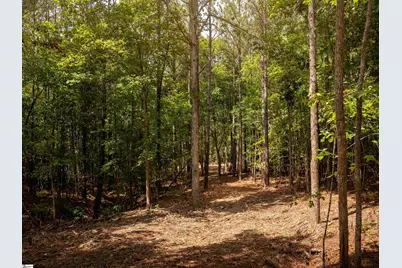 02 Neal Shoals Road, Union, SC 29379 - Photo 43