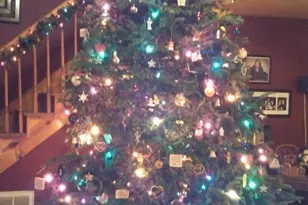 403 Park W Cir, Easley, SC 29642 - Photo 13