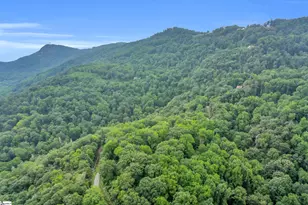 926 White Oak Mountain Rd, Columbus, SC 28722 - Photo 37