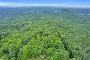 926 White Oak Mountain Rd, Columbus, SC 28722 - Photo 35