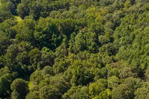 737 Burnt Mill Creek Rd, Mountville, SC 29370 - Photo 47