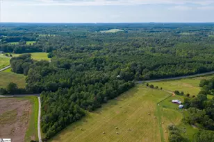 737 Burnt Mill Creek Rd, Mountville, SC 29370 - Photo 43